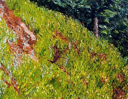 Sierra Mountains, Poppies